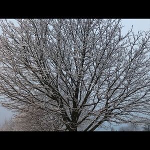 Meet your Posher, Cassie